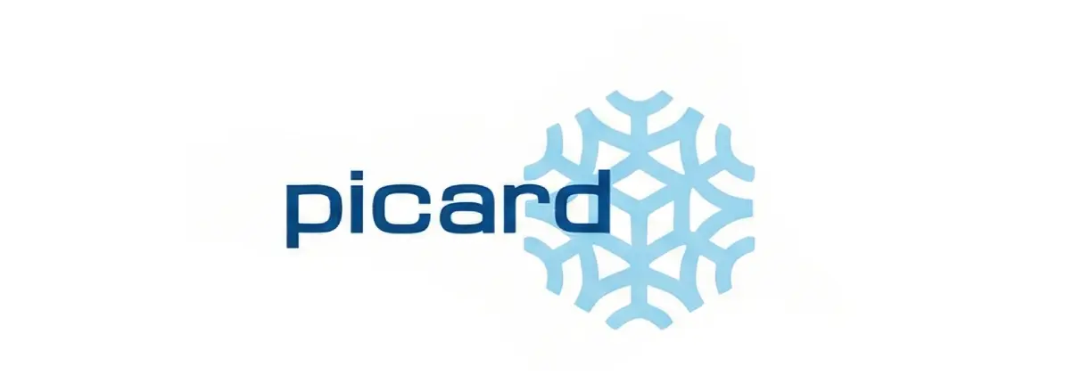 Logo Picard avec motif flocon