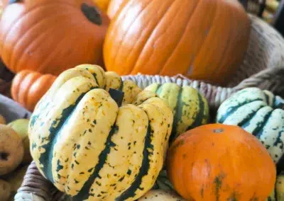 Citrouilles et courges dans un panier