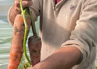 image de partenaires Maraîchers de l'Auberdière